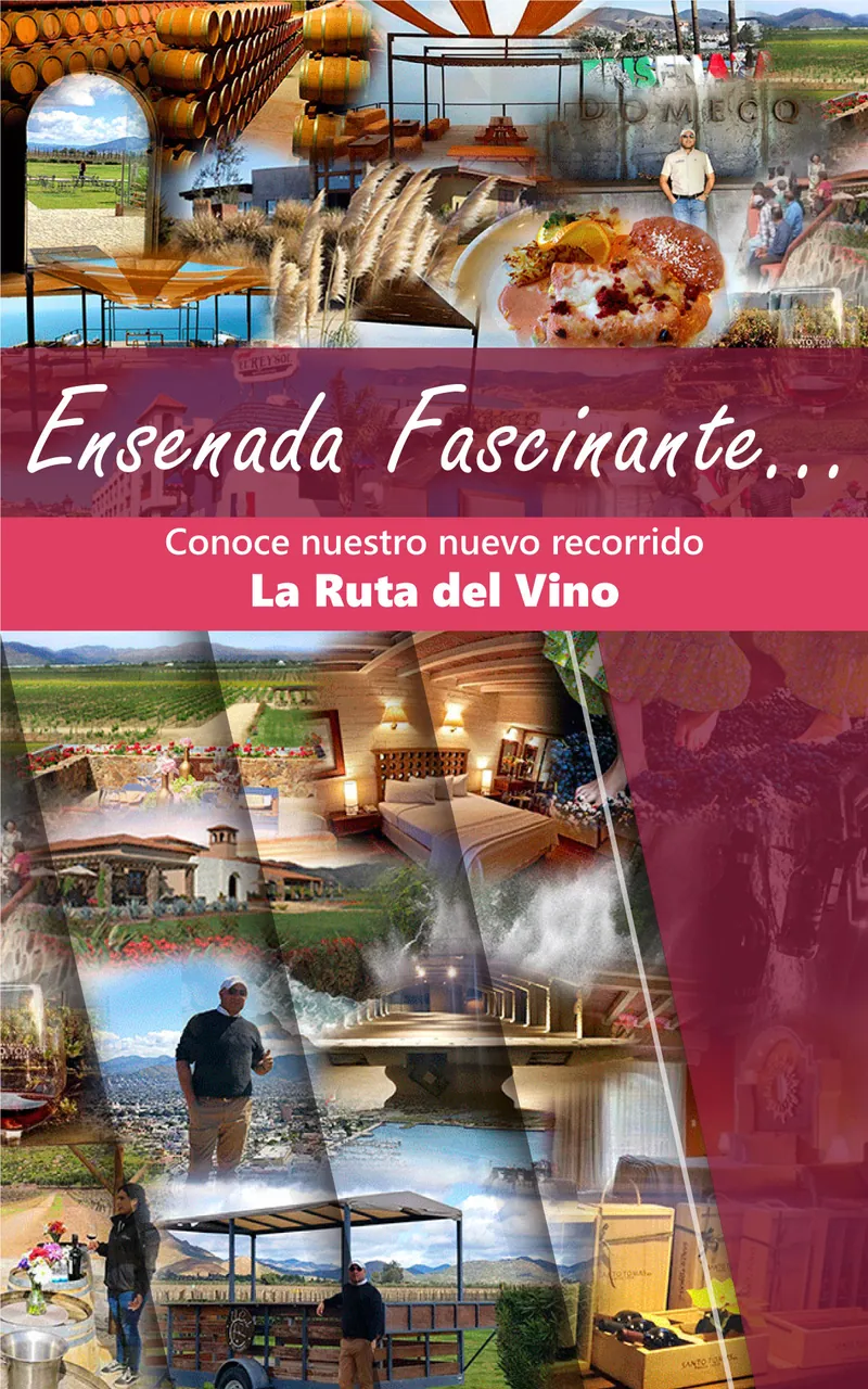 Ruta del Vino